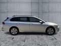 Volkswagen Golf Variant Golf VIII Variant 2.0 TDI DSG LIFE LED+NAVI+AHK Zilver - thumbnail 7