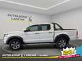 EVO Cross4 Cross 4 2.0 Turbo Diesel 136cv IVA ESPOSTA Weiß - thumbnail 4