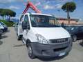 Iveco Daily 35C14 3.0 Diesel Cassone con Gru Wit - thumbnail 2