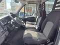 Iveco Daily 35C14 3.0 Diesel Cassone con Gru Wit - thumbnail 8