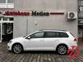 Volkswagen Golf VII Variant Cup BMT 1.2 TSI PDC SHZ TEMP Blanco - thumbnail 7