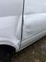 Ford Transit Kasten FT 260 K City Light Weiß - thumbnail 25