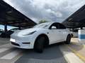 Tesla Model Y RWD - thumbnail 1