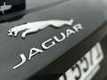 Jaguar F-Pace P250 AWD ENp 69850 Euro Schwarz - thumbnail 3