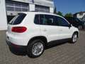 Volkswagen Tiguan 2,0l TDI Cup Sport & Style BMT Panorama, Navi, Kli Weiß - thumbnail 8