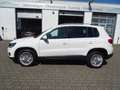 Volkswagen Tiguan 2,0l TDI Cup Sport & Style BMT Panorama, Navi, Kli Weiß - thumbnail 20