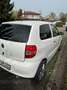 Volkswagen Fox Fox 1.2 Motorkontrollleuchte Leuchten Blanc - thumbnail 5