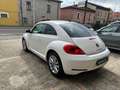 Volkswagen Maggiolino 1.6 TDI Design Wit - thumbnail 6