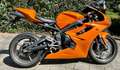 Triumph Daytona 675 - thumbnail 1