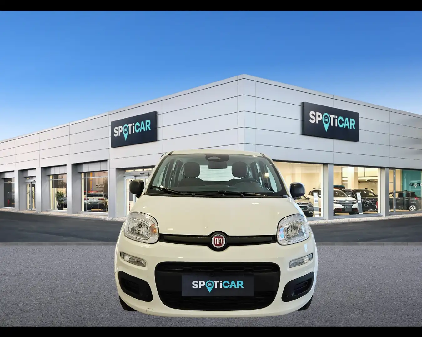 Fiat Panda 1.0 FireFly Hybrid Icon Blanc - 2
