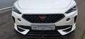 CUPRA Formentor Formentor 1.5 TSI *Maxton design kit*59.864 KM* - thumbnail 4