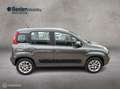Fiat Panda Hoog-Zitter Dealer onderhouden Airco Lounge 80pk Grijs - thumbnail 2