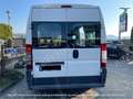 Fiat Ducato 33 2.3 MJT PM-TM Combi Bianco - thumbnail 5
