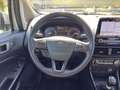 Ford EcoSport *Titanium* I NAVI I R-KAMERA I Silber - thumbnail 10