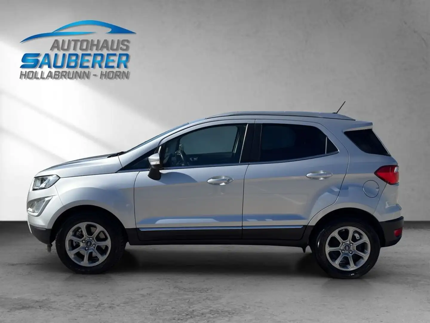Ford EcoSport *Titanium* I NAVI I R-KAMERA I Argent - 2