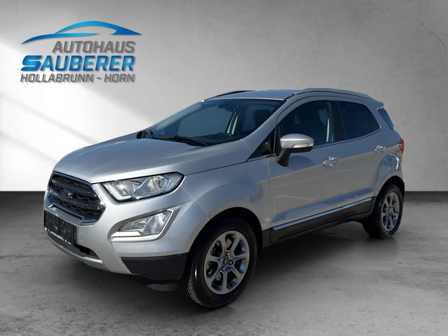 Ford EcoSport *Titanium* I NAVI I R-KAMERA I Silber - 1