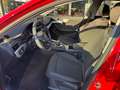Audi A4 A4 Avant Avant 40 TFSI Rot - thumbnail 4