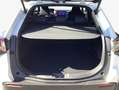 Subaru Solterra Platinum Plus Leder Navi Allwetterreifen bijela - thumbnail 6