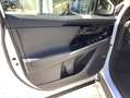 Subaru Solterra Platinum Plus Leder Navi Allwetterreifen Alb - thumbnail 13