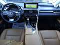 Lexus RX 350 Hybrid Luxury Niebieski - thumbnail 14