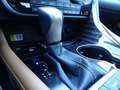 Lexus RX 350 Hybrid Luxury Blau - thumbnail 26