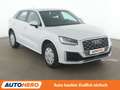 Audi Q2 1.6 TDI Sport edition*SLINE*NAVI*ACC*LED*PDC*SHZ* Weiß - thumbnail 8