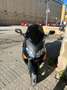 Yamaha TMAX 500 XP500 Negro - thumbnail 1