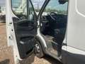 Iveco Daily Daily Chasis Db. Cabina 35C13A D Leaf 3450 126 Blanco - thumbnail 3