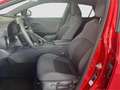 Toyota C-HR 140H Advance - thumbnail 12