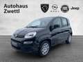 Fiat Panda /Pandina Icon Hybrid 70 Schwarz - thumbnail 1