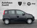 Fiat Panda /Pandina Icon Hybrid 70 Schwarz - thumbnail 7
