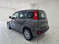 Fiat Panda 1.0 firefly hybrid City Life s&s 70cv 5p. Grigio - thumbnail 4