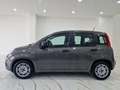 Fiat Panda 1.0 firefly hybrid City Life s&s 70cv 5p. Grigio - thumbnail 3