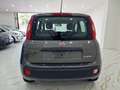 Fiat Panda 1.0 firefly hybrid City Life s&s 70cv 5p. Grigio - thumbnail 5