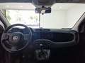 Fiat Panda 1.0 firefly hybrid City Life s&s 70cv 5p. Grigio - thumbnail 12