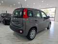 Fiat Panda 1.0 firefly hybrid City Life s&s 70cv 5p. Grigio - thumbnail 6