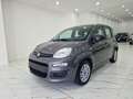 Fiat Panda 1.0 firefly hybrid City Life s&s 70cv 5p. Grigio - thumbnail 2