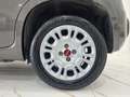 Fiat Panda 1.0 firefly hybrid City Life s&s 70cv 5p. Grigio - thumbnail 9