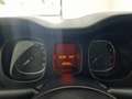 Fiat Panda 1.0 firefly hybrid City Life s&s 70cv 5p. Grigio - thumbnail 13