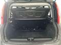 Fiat Panda 1.0 firefly hybrid City Life s&s 70cv 5p. Grigio - thumbnail 14