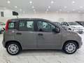 Fiat Panda 1.0 firefly hybrid City Life s&s 70cv 5p. Grigio - thumbnail 7