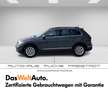 Volkswagen Tiguan Life TDI DSG Grau - thumbnail 3