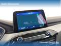 Ford Kuga 1.5 ecoblue connect 2wd 120cv Blu/Azzurro - thumbnail 11