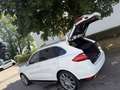 Porsche Cayenne 3.0 V6 tdi 245cv tiptronic - thumbnail 6