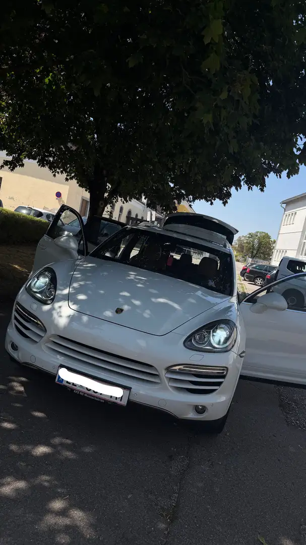 Porsche Cayenne 3.0 V6 tdi 245cv tiptronic - 2