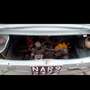 Fiat 850 - thumbnail 12