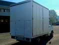 Alfa Romeo Altro allestimento Bianco - thumbnail 10