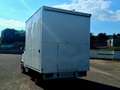 Alfa Romeo Altro allestimento Bianco - thumbnail 9