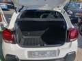 Citroen C3 C3 BlueHDi 100 S&S Shine Pack Bianco - thumbnail 12