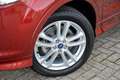 Ford Kuga 1.5 Titanium Styling Pack * Distributieriem nieuw Rot - thumbnail 20